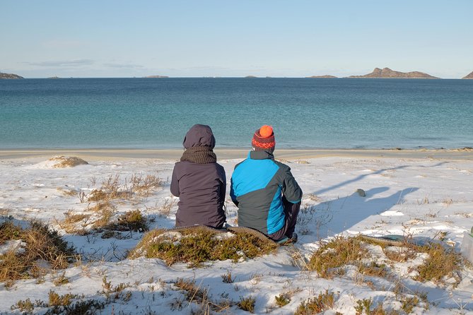 Discover the Fjords of Kvaloya - a roadtrip along fjords and fishing villages - Wildlife sightings and photography stops