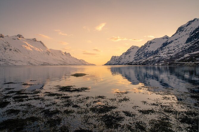 Discover the Fjords of Kvaloya - a roadtrip along fjords and fishing villages - Ersfjordbotn and the fjord stop