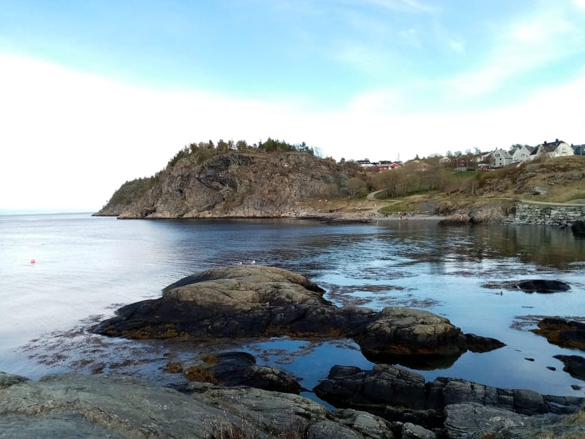 Discovery hike along the Trondheimsfjord - Key points to know before you go