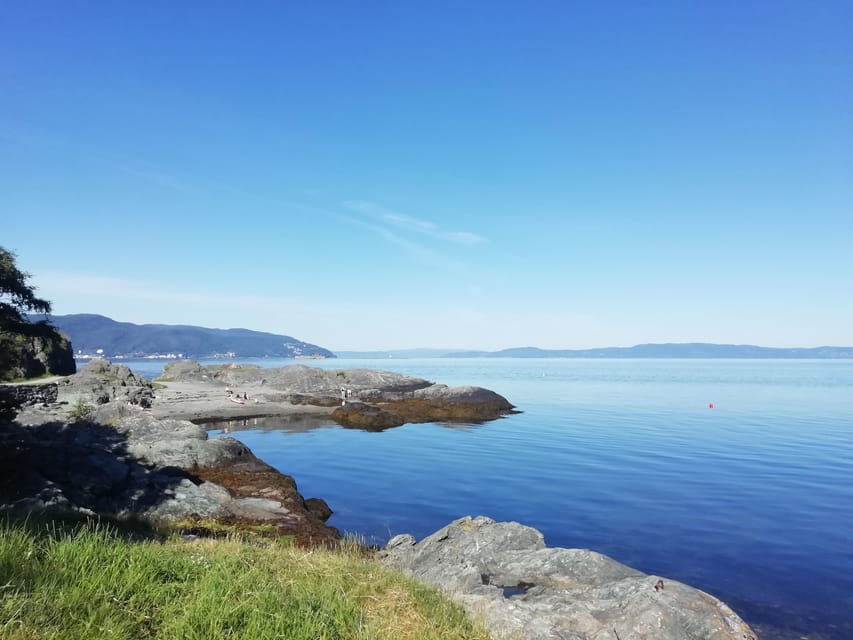 Discovery hike along the Trondheimsfjord - Why this walk makes a good Trondheim side trip