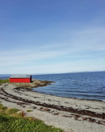 Discovery hike along the Trondheimsfjord