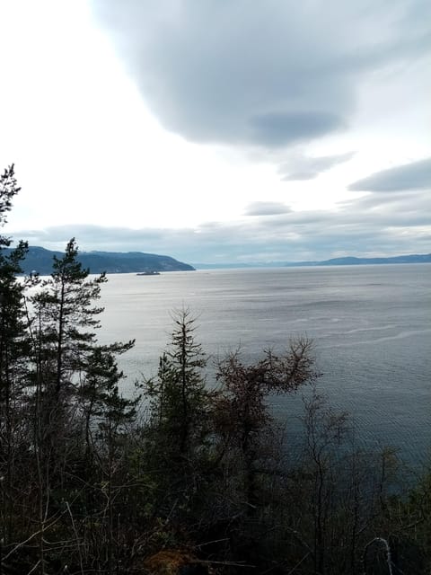 Discovery hike along the Trondheimsfjord - Ladekaia and the pleasures of a slower coastal walk