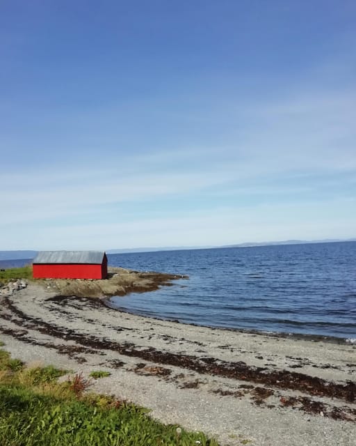 Discovery hike along the Trondheimsfjord - Starting at Korsvika and finding your guide