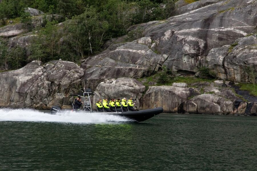 Eidfjord: 1-Hour Fjord RIB Tour - Goats, seals, birds, and the search for wildlife