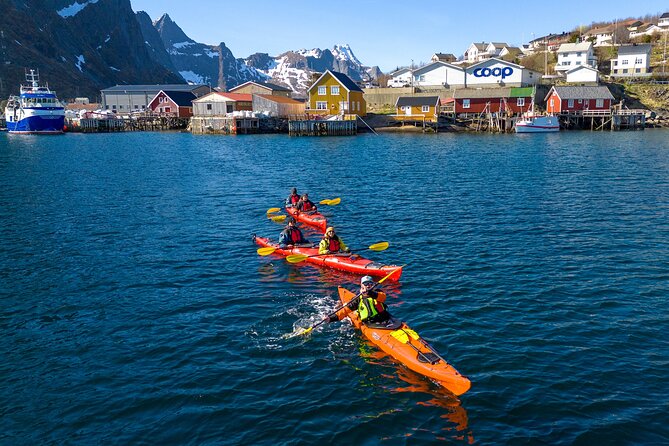 Explore Reinefjord by kayak (3 hours) - Why Reinefjord works so well from a kayak