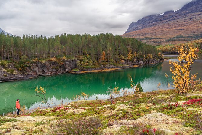 Explore the Norwegian Fjords and the Wildlife From Abisko - Who Will Enjoy This Most
