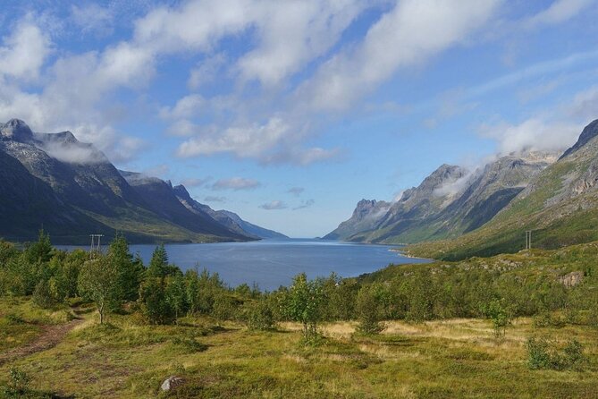 Express Fjord Road trip with Cruise Ship Pick up and Drop off - Key points to know before you book