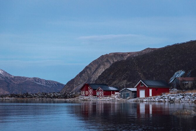 Express Fjord Road trip with Cruise Ship Pick up and Drop off - What the guides add