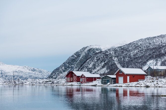 Express Fjord Road trip with Cruise Ship Pick up and Drop off - Is $123.78 a fair price?