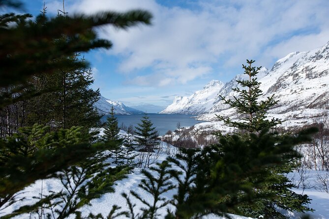 Express Fjord Road trip with Cruise Ship Pick up and Drop off - Who will enjoy this Ersfjordbotn outing?