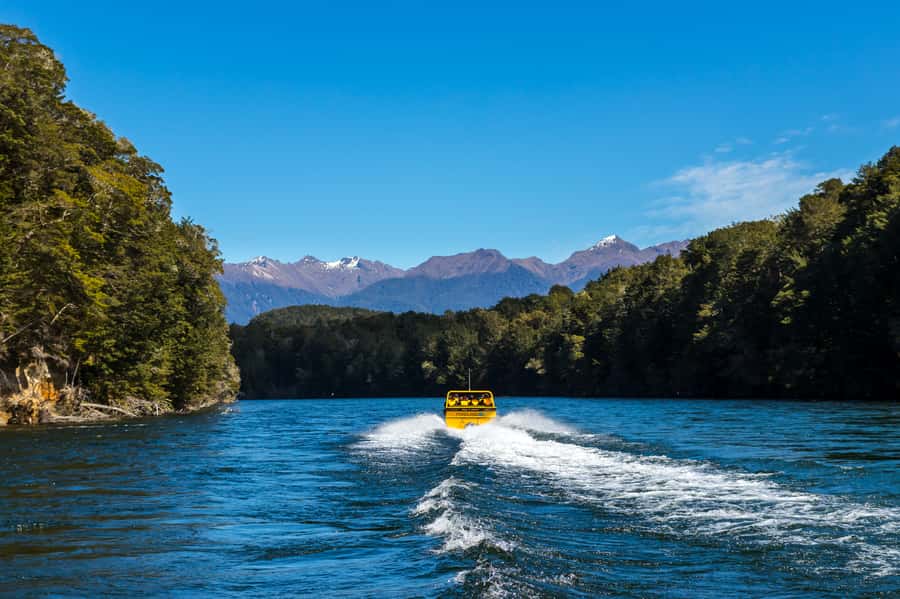 Fiordland: Jet Boat & Nature Walk Experience from Te Anau - Who should book, and who should think twice?
