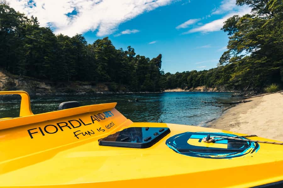 Fiordland: Jet Boat & Nature Walk Experience from Te Anau - A 15-minute walk through ancient beech forest