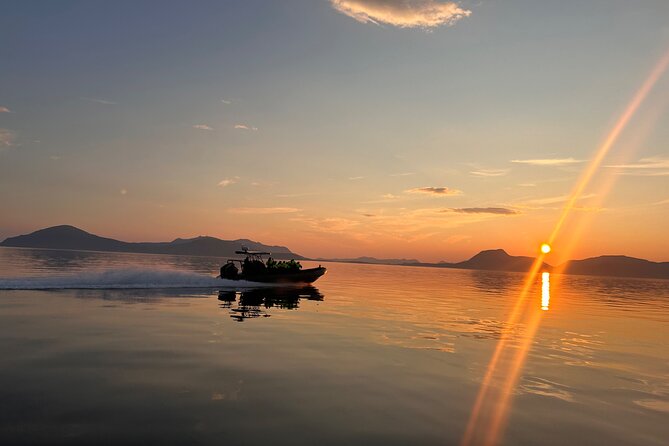Fjord and Sea Eagle Safari from Sortland - Is $85.29 a fair price?