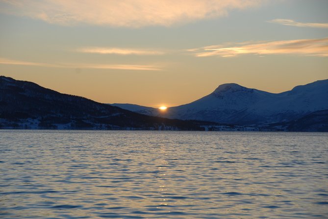 Fjord Cruise with Luxury Catamaran in Tromso - Fishing first, sightseeing second