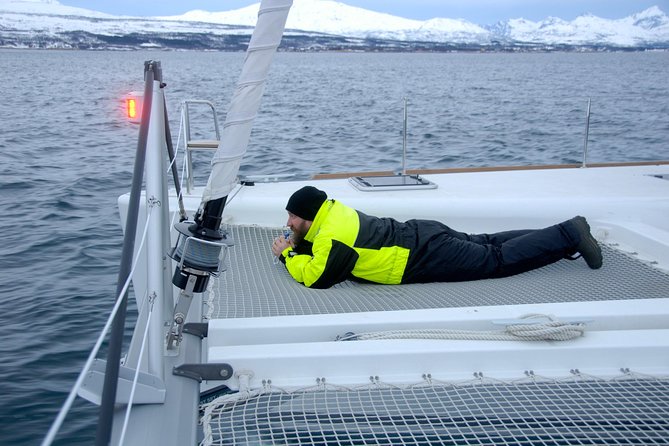 Fjord Cruise with Luxury Catamaran in Tromso - Boat comfort and changing Arctic water