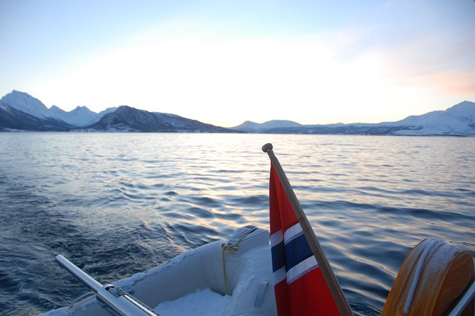 Fjord Cruise with Luxury Catamaran in Tromso - Is $214.22 good value?