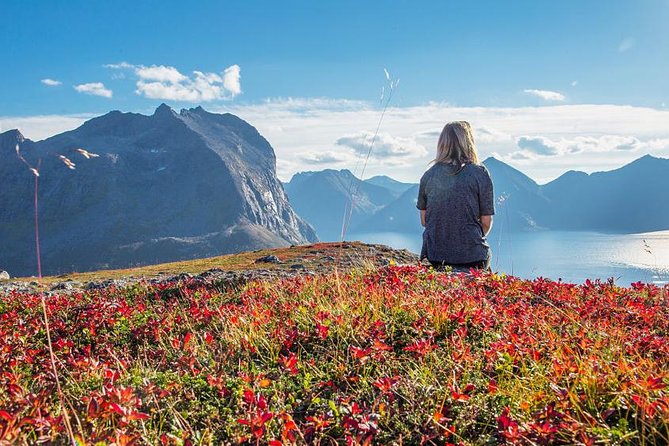 Fjord Expedition: Arctic Adventure Awaits - Cold-weather clothing is not a minor detail