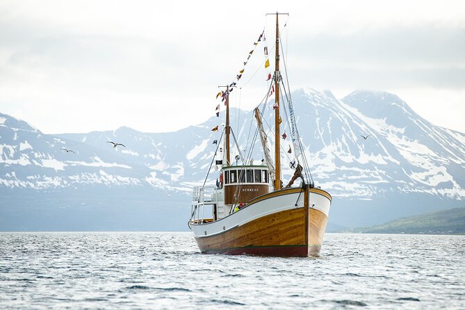 Fjord & History Cruise - Leaving Tromsø harbor aboard a 108-year-old boat