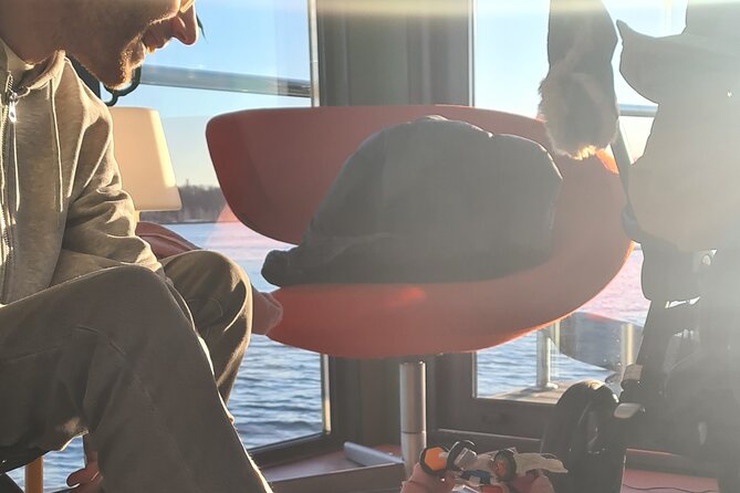 Fjord Houseboat Cruise in Oslo. 100 % electric. BYO - What the Electric Ride Feels Like