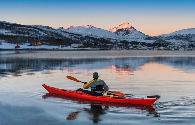 Fjord, Mountain and Wildlife Tour - Key points before you book
