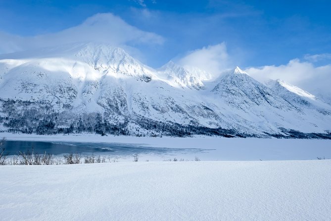 Fjord, Mountain and Wildlife Tour - What this Tromsø fjord tour actually offers