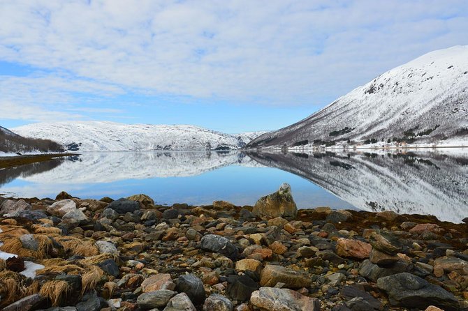 Fjord, Mountain and Wildlife Tour - Grøtfjord village and Grøtfjord fjord