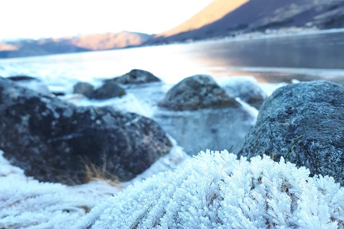 Fjord, Mountain and Wildlife Tour - The guides can shape the whole day