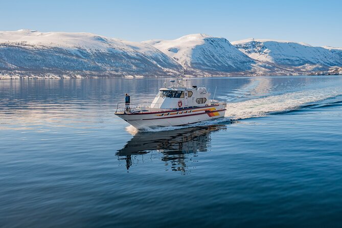 Fjord Safari in the Altafjord - Passing Isnestoften by the fjord entrance