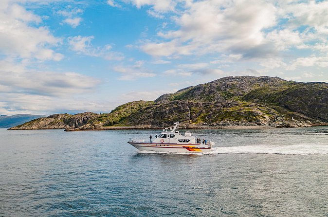 Fjord Safari in the Altafjord - Warm drinks, a heated cabin, and outdoor viewing