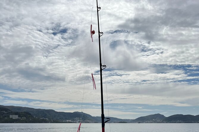 Fjord Sea Safari with Fishing from Bergen - Fish soup, with a chance to taste your catch