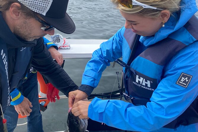 Fjord Sea Safari with Fishing from Bergen - Wildlife and scenery without a guarantee