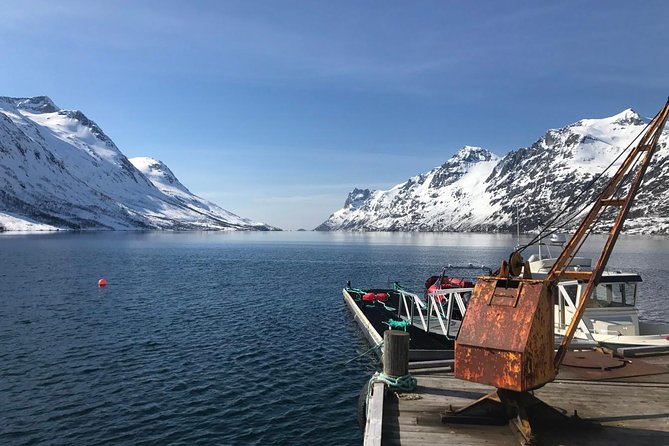 Fjord Sightseeing - Eco friendly Tesla Model X - Key points to know before booking