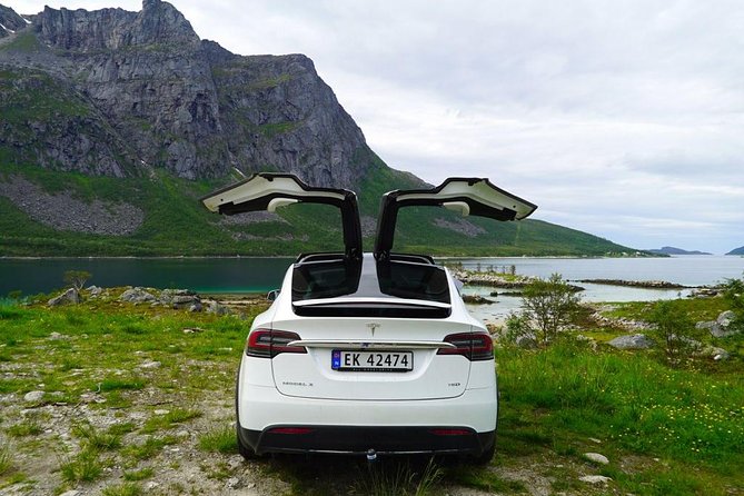Fjord Sightseeing - Eco friendly Tesla Model X - A small cafe stop with coffee and cake