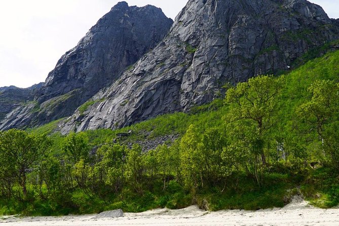 Fjord Sightseeing - Eco friendly Tesla Model X - Is $171.16 per person a fair price?