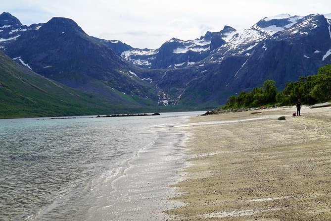 Fjord Sightseeing - Eco friendly Tesla Model X - Booking details worth checking