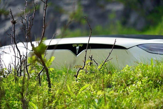 Fjord Sightseeing - Eco friendly Tesla Model X - Fjords, clear water, and mountain views