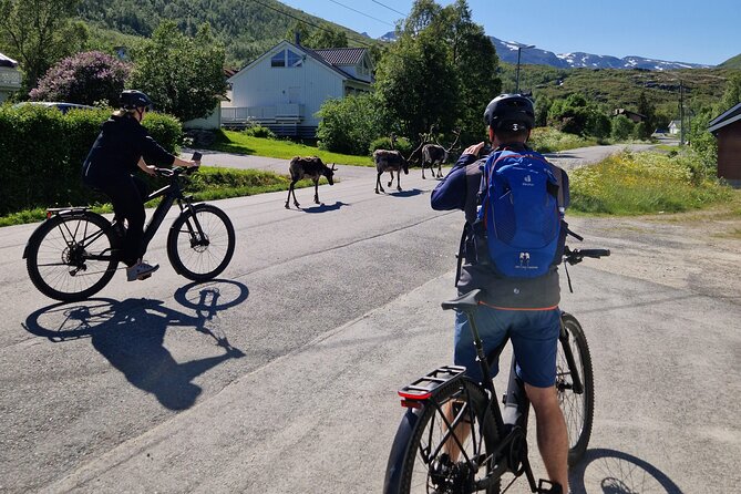 Fjord Sightseeing on Kvaløya With E-Bike - Kaldfjorden, a small community near Tromsø