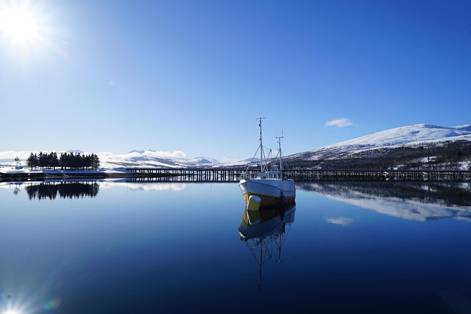 Fjordcruise in a Luxury Yacht Arctic Queen - Leaving from Fredrik Langes gate at 2 p.m.
