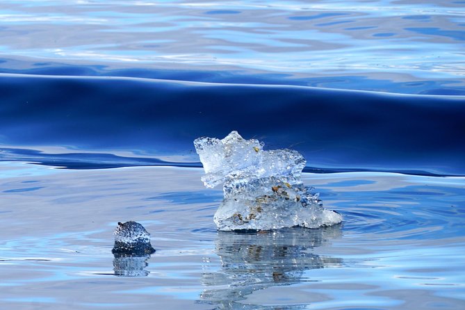 Fjordcruise in a Luxury Yacht Arctic Queen - Is $269.24 per person a fair price?