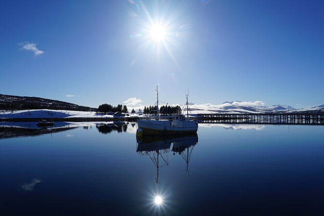 Fjordcruise in a Luxury Yacht Arctic Queen - What the Arctic Queen experience is really like