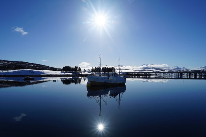 Fjordcruise - Luxury Yacht Arctic Queen - Håkøya and the first fjord views