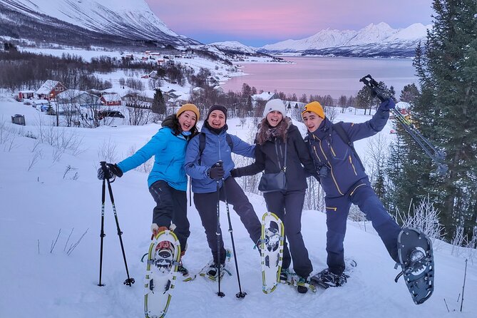 Fjords and Alps Snowshoe Tour in Lyngen Alps - Key points at a glance