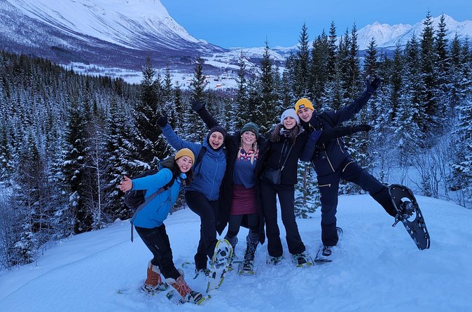 Fjords and Alps Snowshoe Tour in Lyngen Alps - How much value do you get for $181.91?