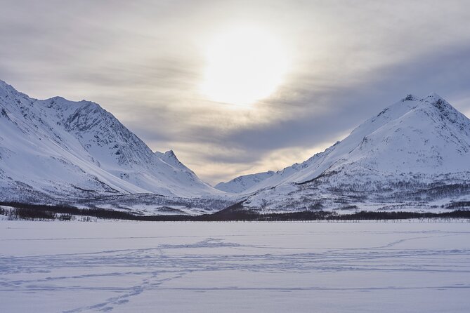 Fjords and Alps Snowshoe Tour in Lyngen Alps - Who should book this snowshoe outing?