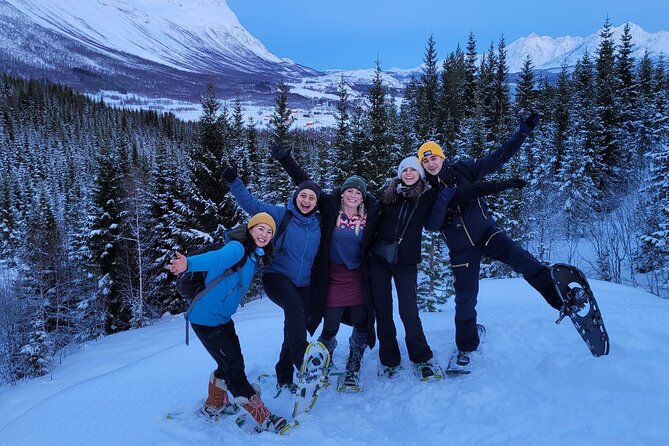 Fjords and Alps Snowshoe Tour in Lyngen Alps - Should you book the Fjords and Alps Snowshoe Tour?