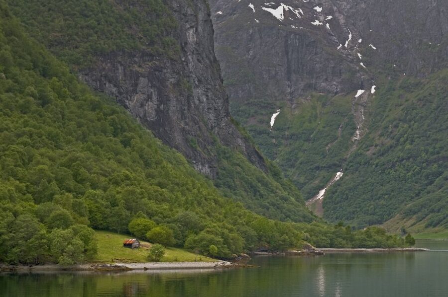 Fjords: Private Trip with Train and Cruise Ride - Riding the Flåm Railway