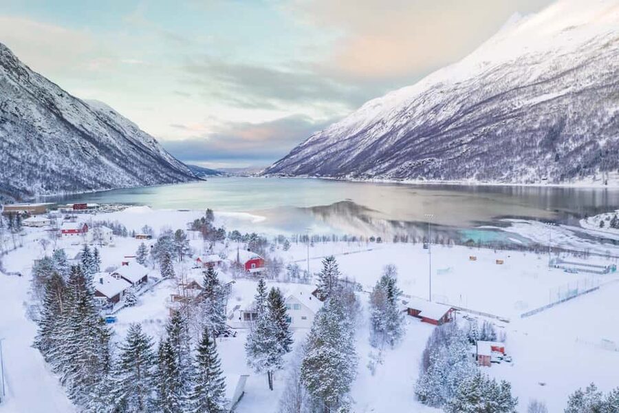 From Abisko: Narvik City and Fjord Day Trip - Leaving Abisko Through Swedish Arctic Country