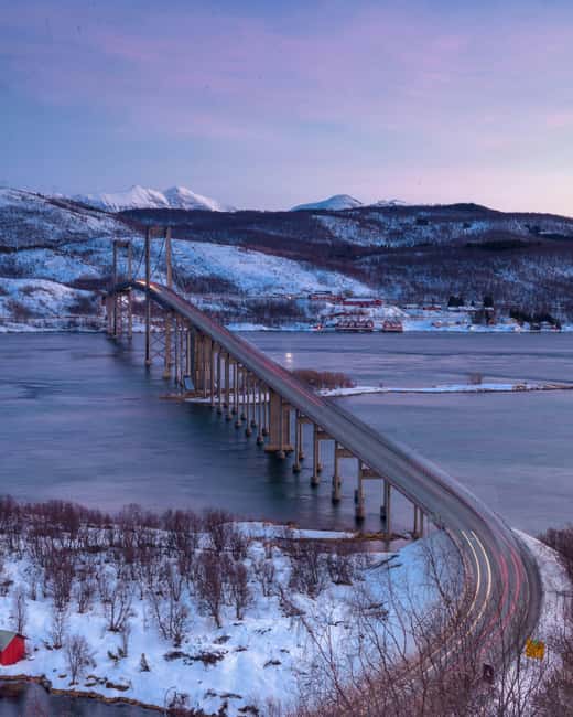 From Abisko: Narvik City and Fjord Day Trip - Lunch in Narvik Without a Fixed Menu