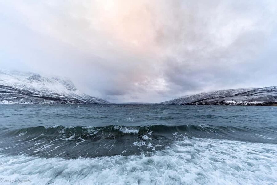 From Abisko: Narvik City and Fjord Day Trip - Is $182 Good Value?