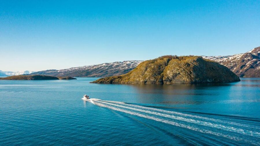 From Alta: Adventure Cruise in Alta Fjord - Key points to know before booking
